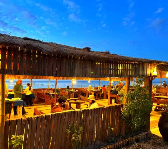 Davinci Beach Resort Davinci Beach Resort